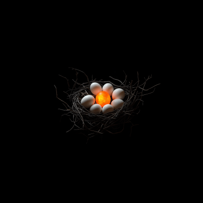 Glowing Eggs in Nest