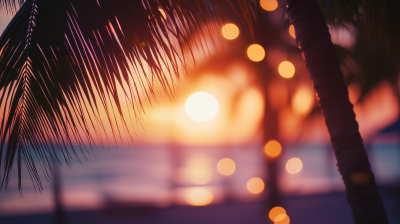 Bokeh Beach Sunset in Miami