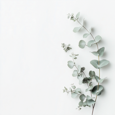 Minimalist Floral Composition