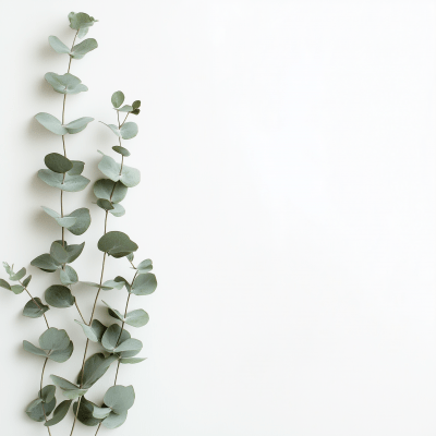 Minimalist Eucalyptus Floral Composition