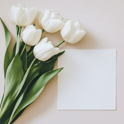 White Tulip Flowers Mockup Image