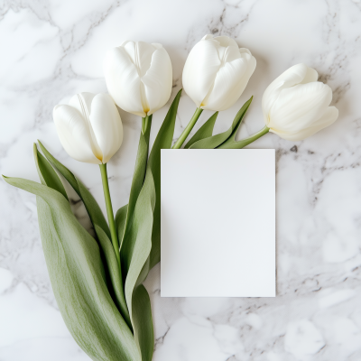 Blank White Space with White Tulip Flowers