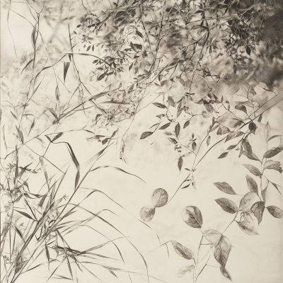 Assortment of Leaves, Grass, and Twigs