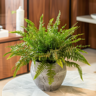 Fluffy Persian Fern in Luxury Dubai House