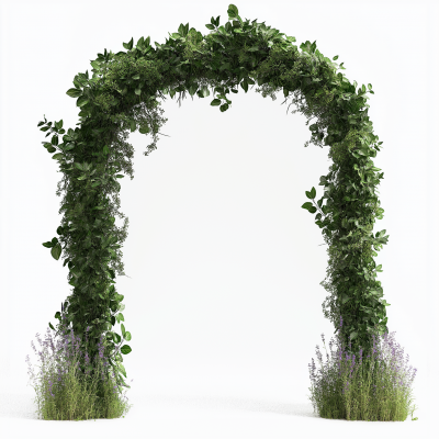 Greenery Gate Shape in White Background