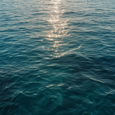 Morning Light on Clear Sea