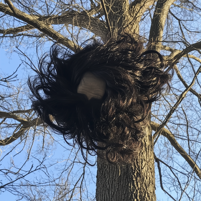 Blade 70’s Wig in Tree