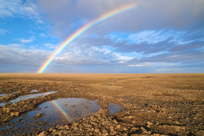 Serene Rainbow Landscape