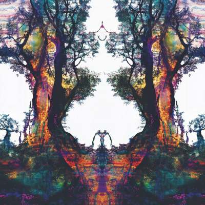 Psychedelic Forest