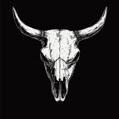 Minimalist Bull Skull Vector Art