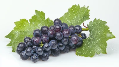 Fresh Grapes with Dewdrops