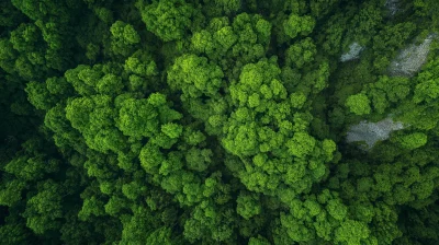 Aerial View of Khingan Mountains