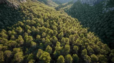 Aerial View from Above