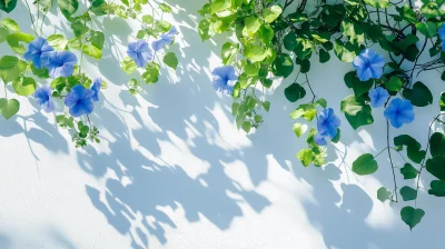 Blue Flowers on White Wall