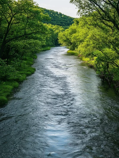 Lush Riverbank Scene