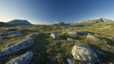 Norwegian Rocky Fields