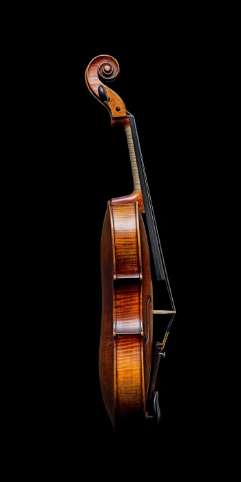 Hyperealist Violin Profile