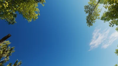 Vivid Blue Sky