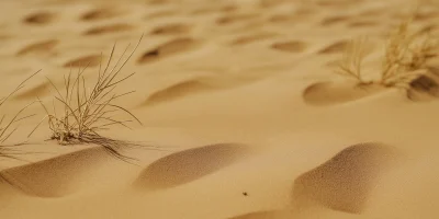 African Sand