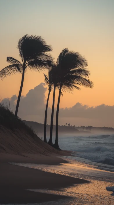 Sunset at the Beach