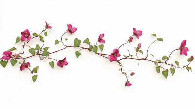 Dried Pink Flowers on Green Vine