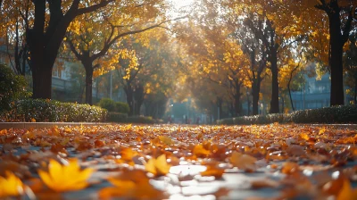 Close-Up of Nature