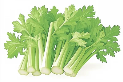 Fresh Celery Bundle