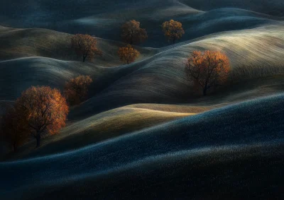 Tranquil Autumn Hills