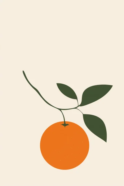 Minimalist Tangerine Postcard