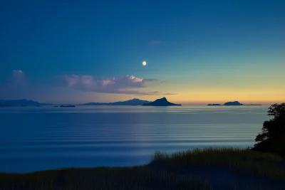 Moonlit Sea