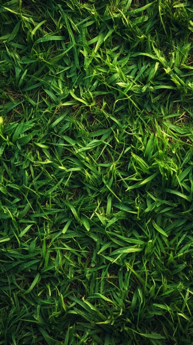 Grass Field Seamless Pattern