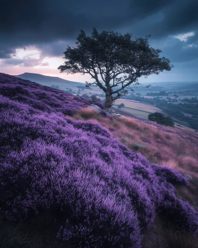 Mystical Summer in England