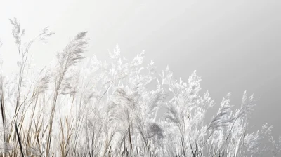 Silver Grass Autumnal Wallpaper