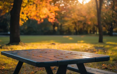 Early Autumn Park Scene