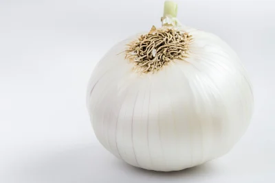 White Onion Decor