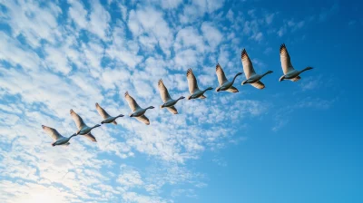 Neat Flight of Geese