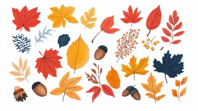 Autumn Leaves Vector Set