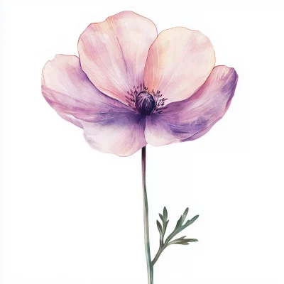 Minimalistic Single Flower Watercolor Clipart