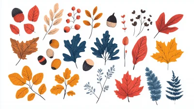 Autumn Leaves and Fruits Vector Set