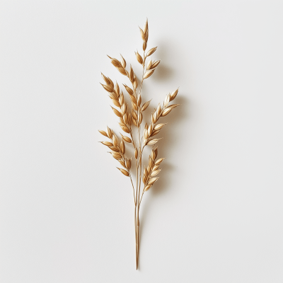 Minimalistic Oat Straw