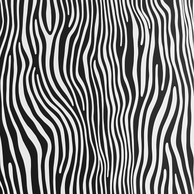 Organic Black and White Lines