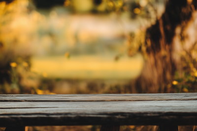 Rustic Wooden Bench