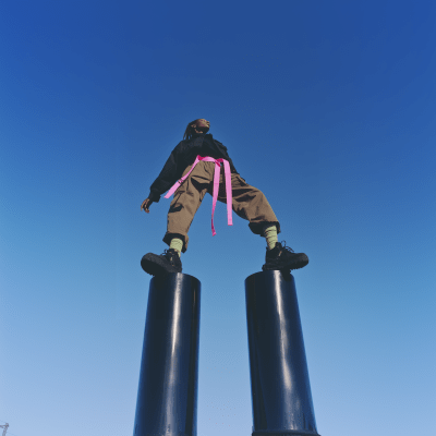 Majestic Pose Against Blue Sky