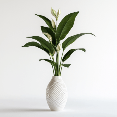 Luxurious Indoor Plant