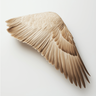 Hyper Realistic Goose Wing