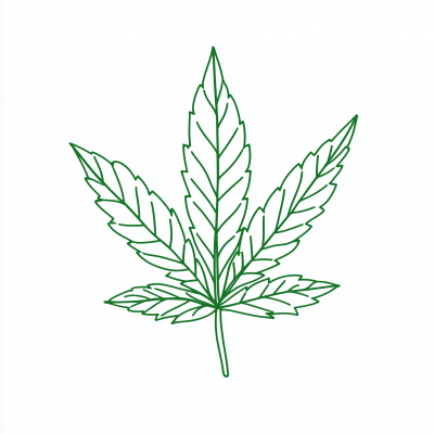 Thin Pot Leaf Illustration