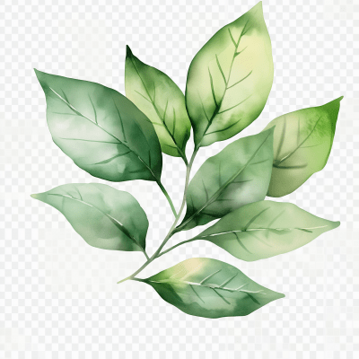 Watercolor Green Leaves