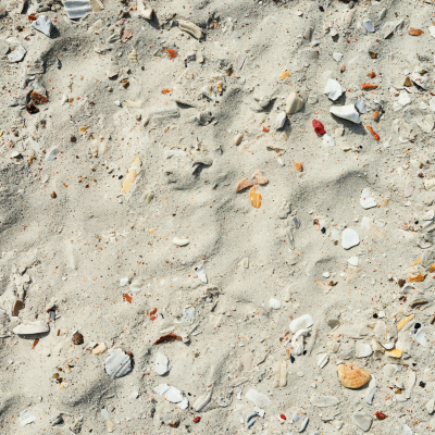 Bright Beach Sand Texture