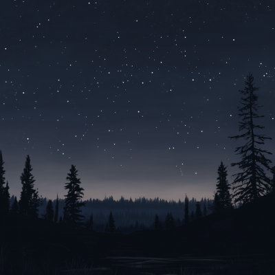 Dark Night Sky Over Trees