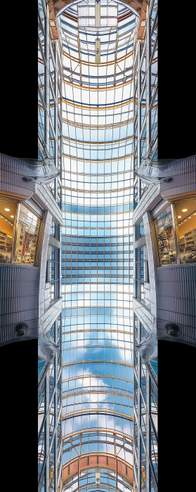 Shopping Street Roof